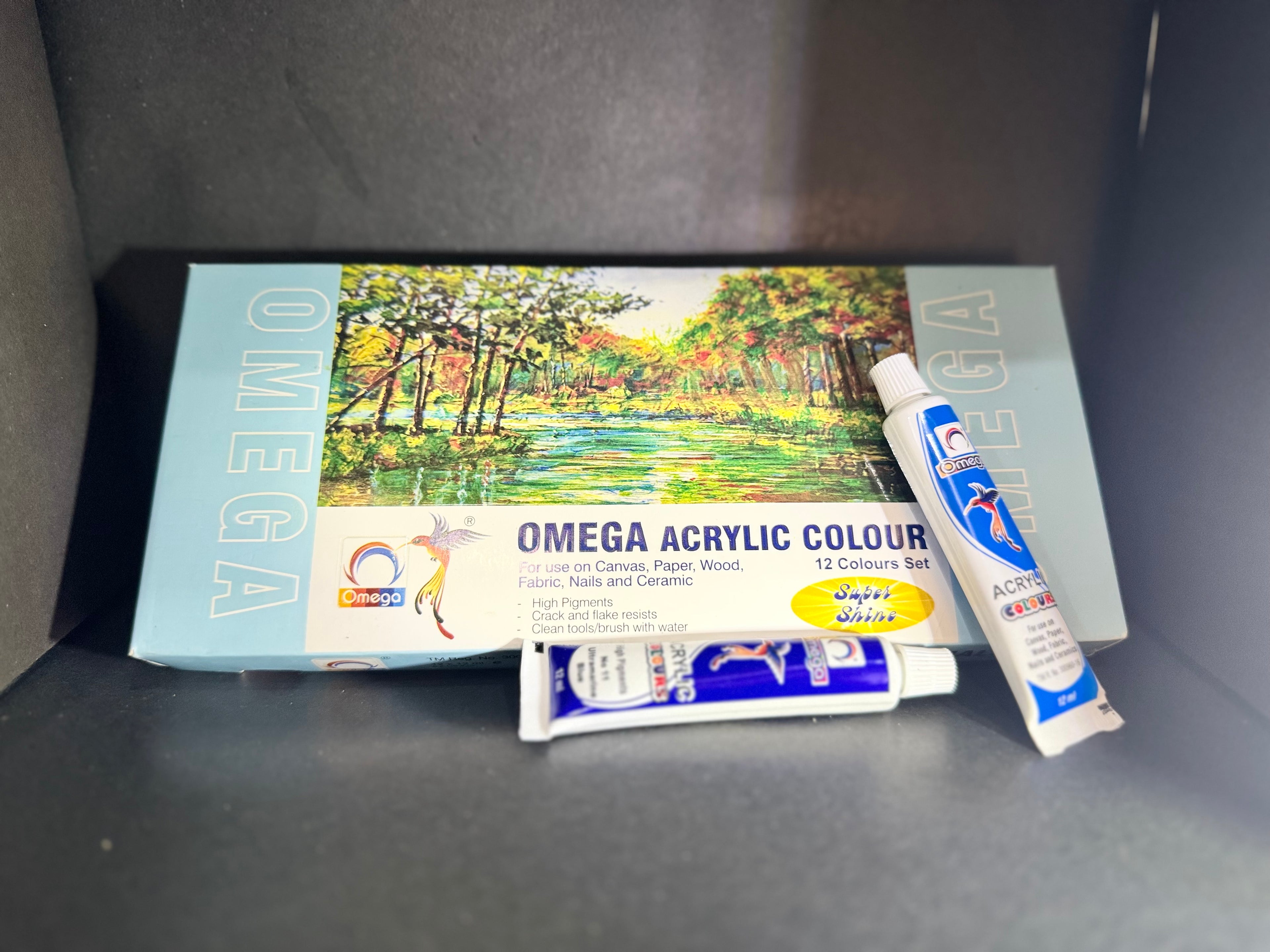 Omega Acrylic Color Painting Set – 12 Tubes (12ml Each)